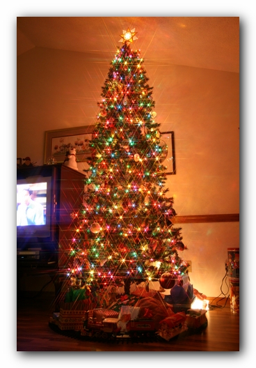 Christmas 2006