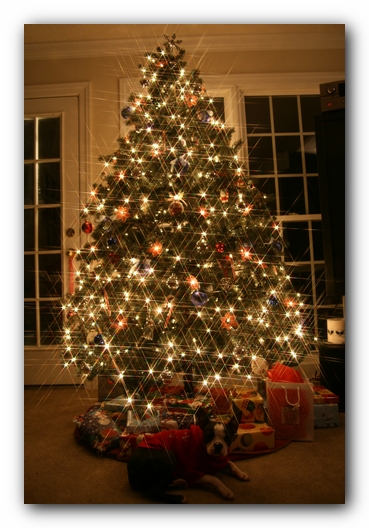Christmas 2006