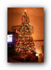 Christmas 2006
