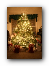 Christmas 2006