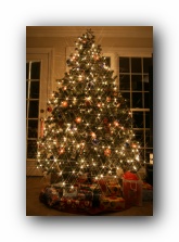 Christmas 2006
