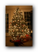 Christmas 2006