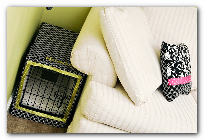 Green Dog Crate
