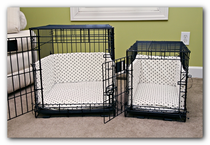 Handmade Crate Covers, Dog Beds, and Bumper Pads for Miley and Howie the Boston Terrier Puppies