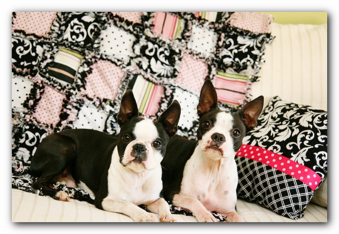 Rag Quilt