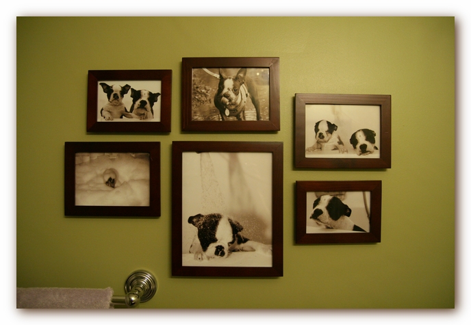 The Guest Bathroom