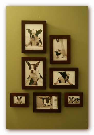 The Guest Bathroom