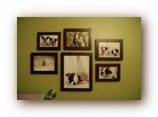 The Guest Bathroom