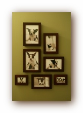The Guest Bathroom