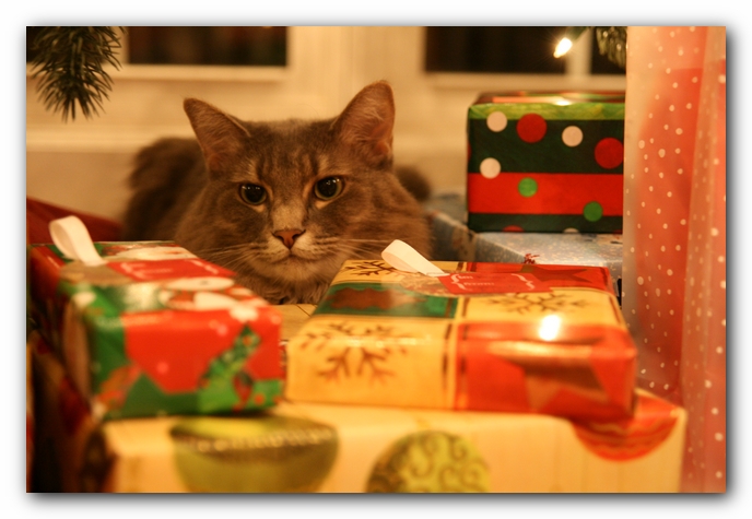 Christmas Missy