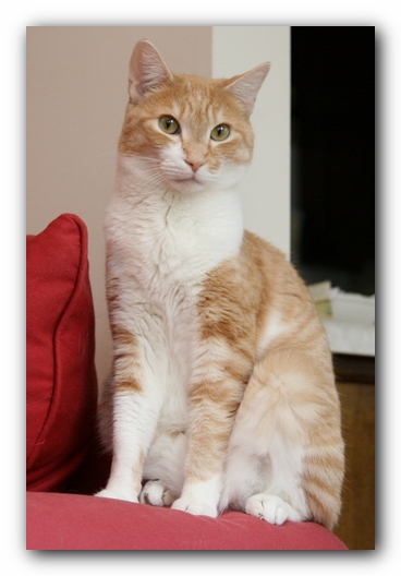 Hobbes