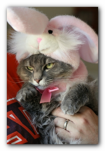 Missy and Hobbes
