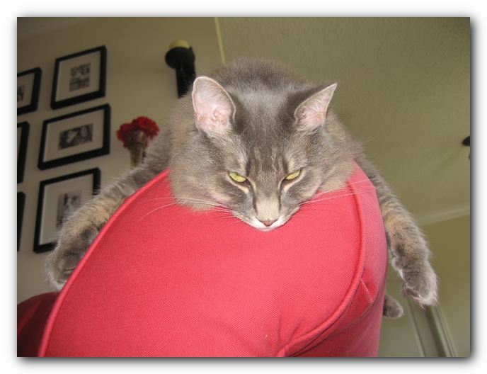 Missy