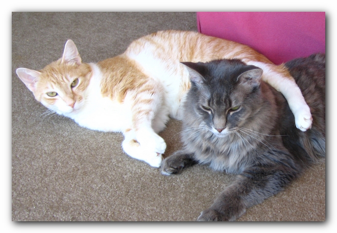 Missy and Hobbes
