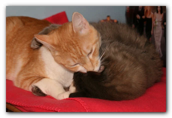 Missy and Hobbes