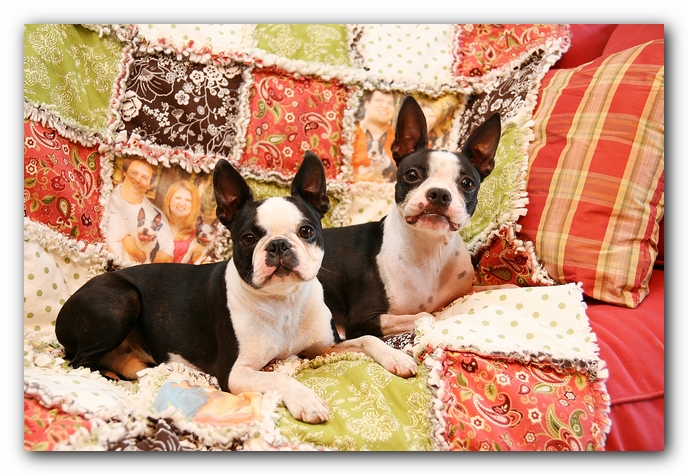 Photo Rag Quilt made with Printed Treasures Printable Fabric