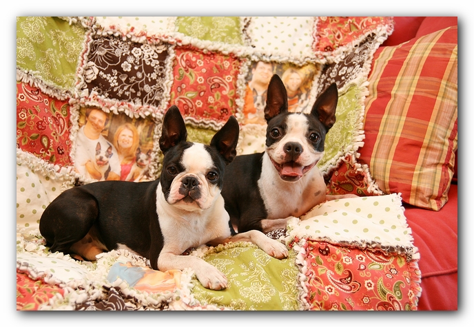 Photo Rag Quilt made with Printed Treasures Printable Fabric