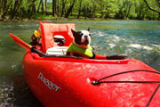 North Alabama Kayaking Trips