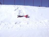 kevinhill1_small.jpg