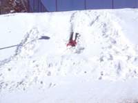kevinhill2_small.jpg