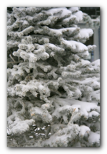 Snowshoe, West Virginia<br>February 2007