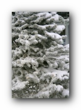Snowshoe, West Virginia: February 2007
