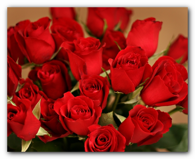 Valentine's Day 2008