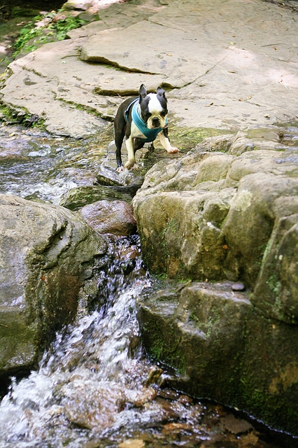 Helen Georgia, Blue Ridge Mountains, Twin Falls Cabin, Chattahoochee River, apline village, Anna-Ruby Falls, Helton Creek Falls, Raven Cliff Falls