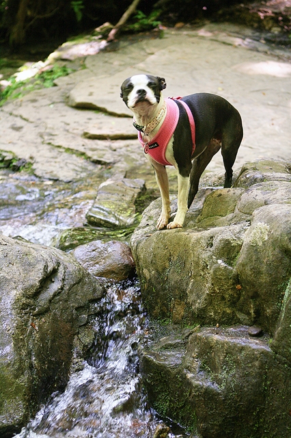 Helen Georgia, Blue Ridge Mountains, Twin Falls Cabin, Chattahoochee River, apline village, Anna-Ruby Falls, Helton Creek Falls, Raven Cliff Falls