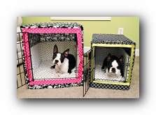 dog crate covers