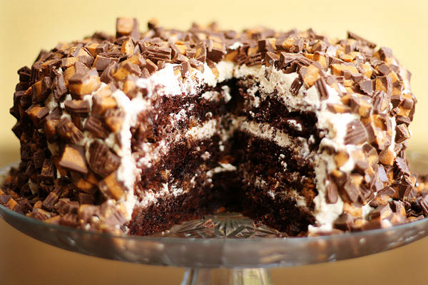 Chocolate Peanut Butter Cake Recipe