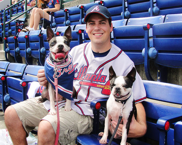Atlanta Braves Bark in the Park Dog Day Boston Terriers Meetup