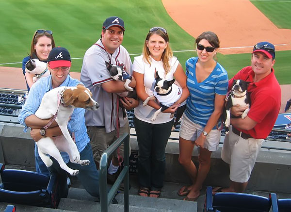 Atlanta Braves Bark in the Park Dog Day Boston Terriers Meetup