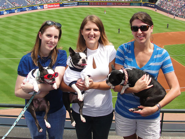 Atlanta Braves Bark in the Park Dog Day Boston Terriers Meetup