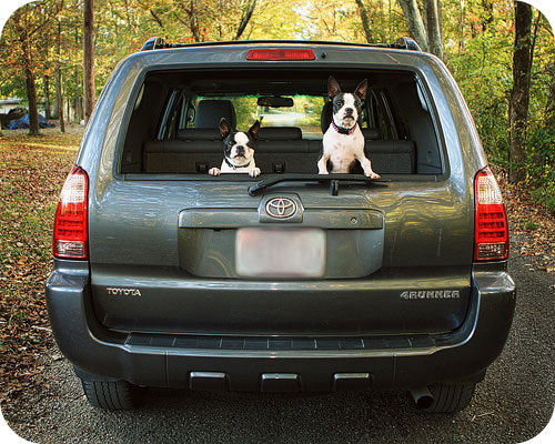 2007-4runner-limited