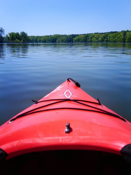 Kayaking on Flint Creek @ Wheeler National Wildlife Refuge & on the Flint River, Huntsville Alabama
