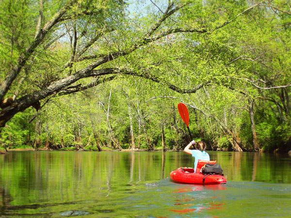 Kayaking on Flint Creek @ Wheeler National Wildlife Refuge & on the Flint River, Huntsville Alabama