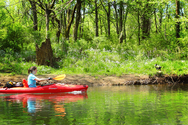 Kayaking on Flint Creek @ Wheeler National Wildlife Refuge & on the Flint River, Huntsville Alabama