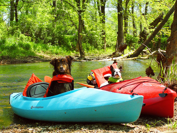 Kayaking on Flint Creek @ Wheeler National Wildlife Refuge & on the Flint River, Huntsville Alabama