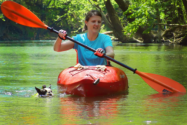 Kayaking on Flint Creek @ Wheeler National Wildlife Refuge & on the Flint River, Huntsville Alabama