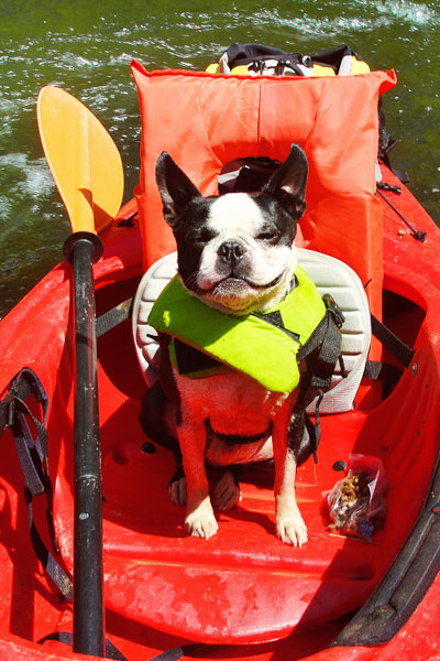 Kayaking on Flint Creek @ Wheeler National Wildlife Refuge & on the Flint River, Huntsville Alabama