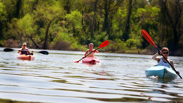 Kayaking on Flint Creek @ Wheeler National Wildlife Refuge & on the Flint River, Huntsville Alabama