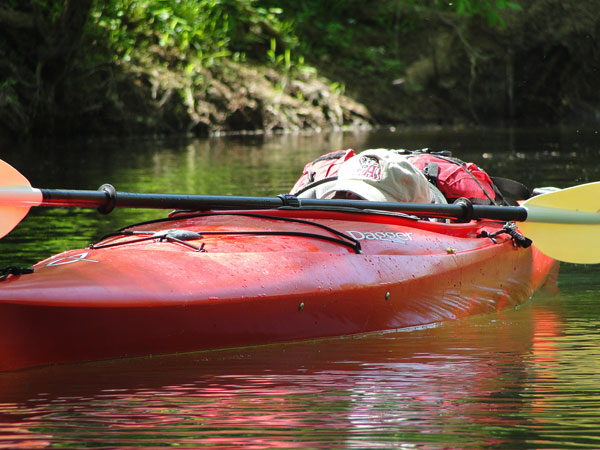 Kayaking the Flint River