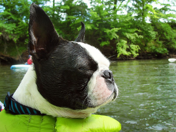 Kayaking the Flint River