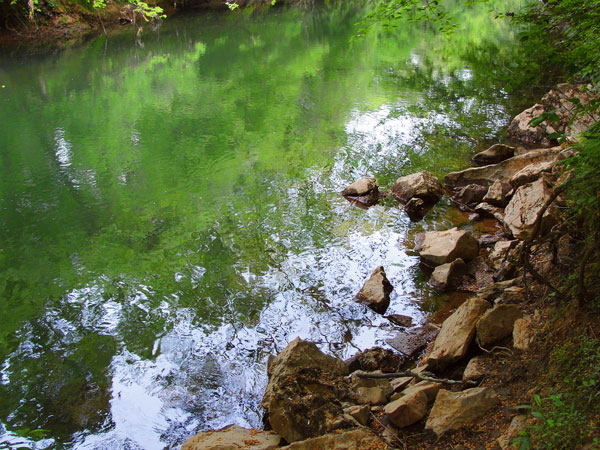 Kayaking the Flint River