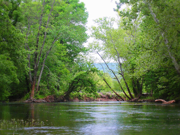 Kayaking the Flint River