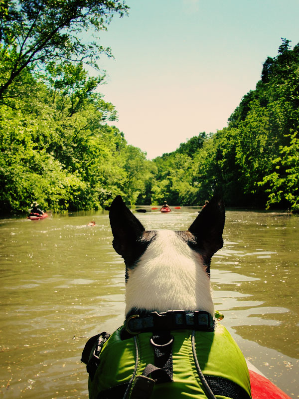 kayaking paint rock river float