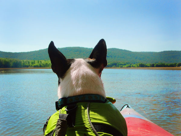 kayaking paint rock river float