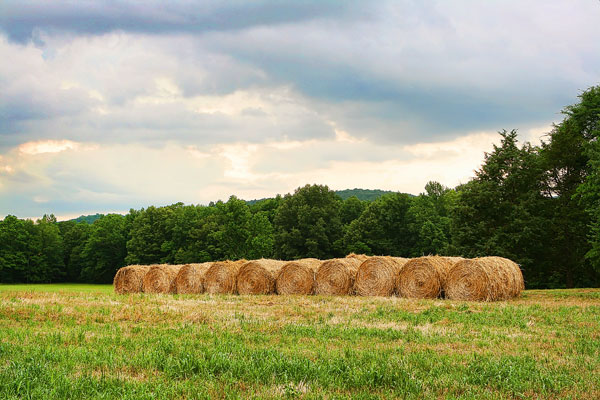 Southern Travel | Tennessee Mountain Hideaway