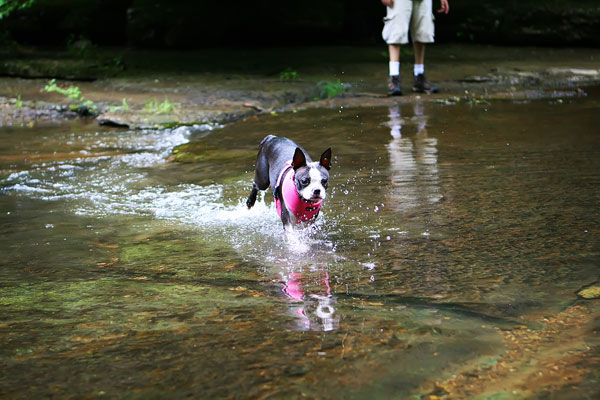 Southern Travel | Tennessee Mountain Hideaway